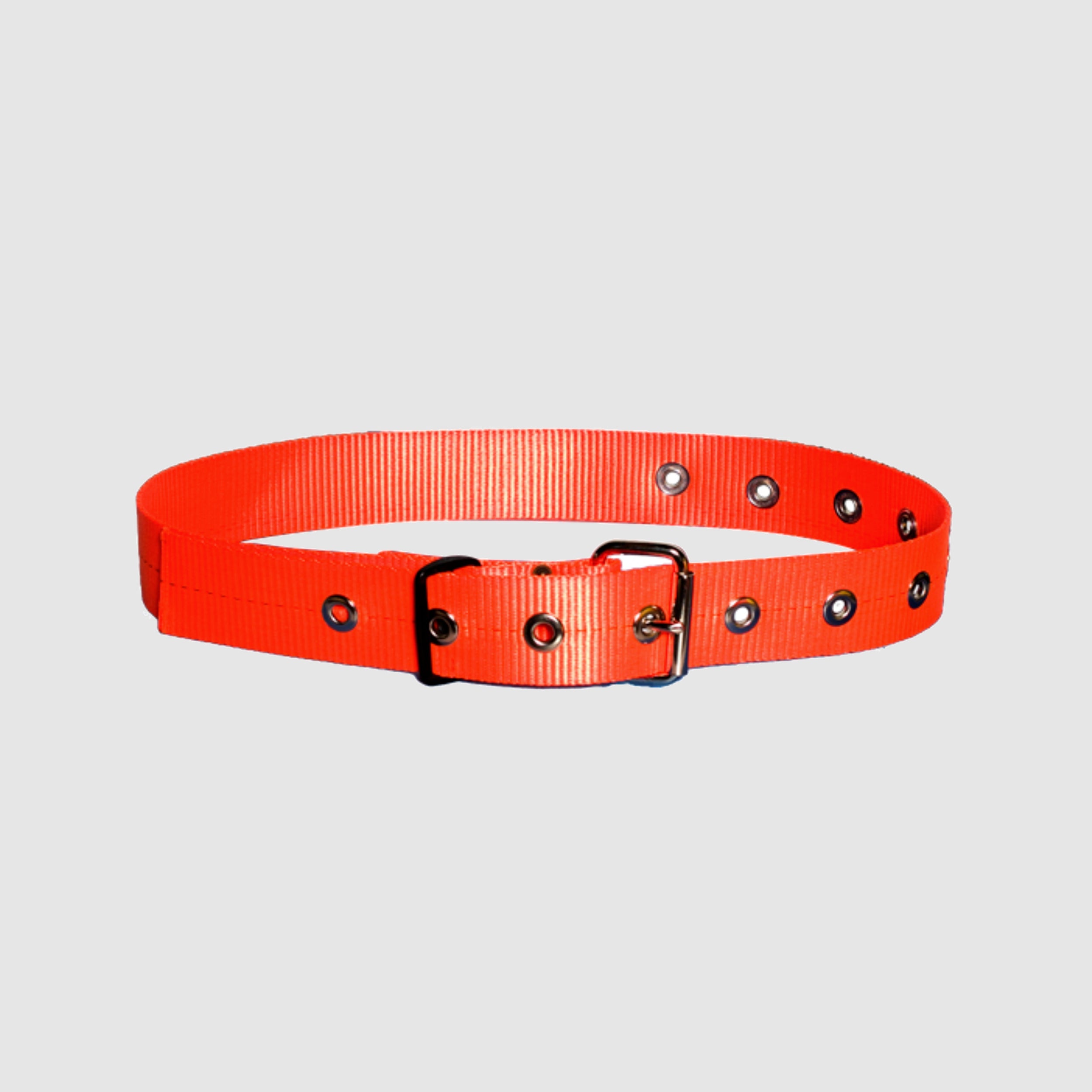 Web Belt with Metal Buckle & Eyelets