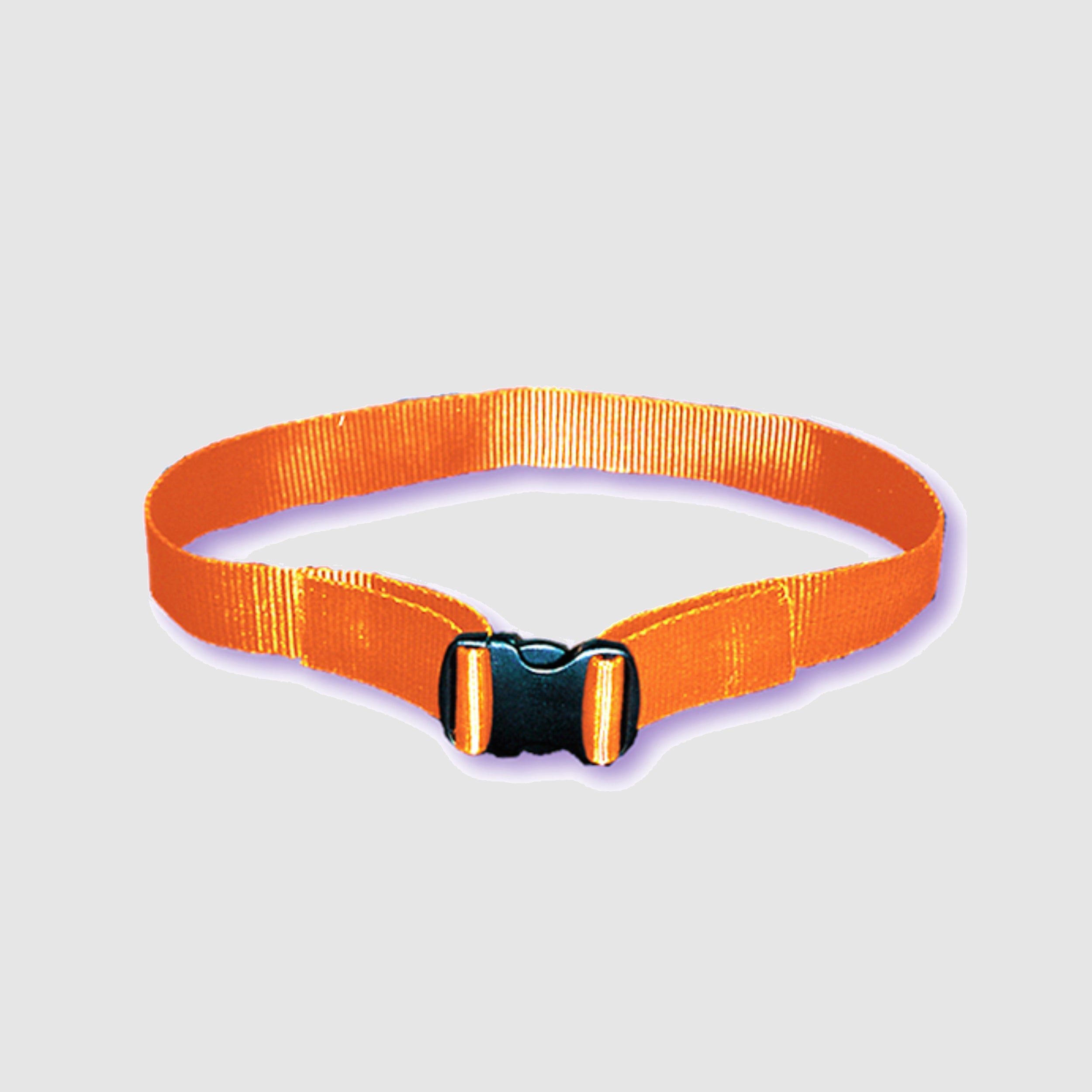 Web Belt with Plastic Buckle
