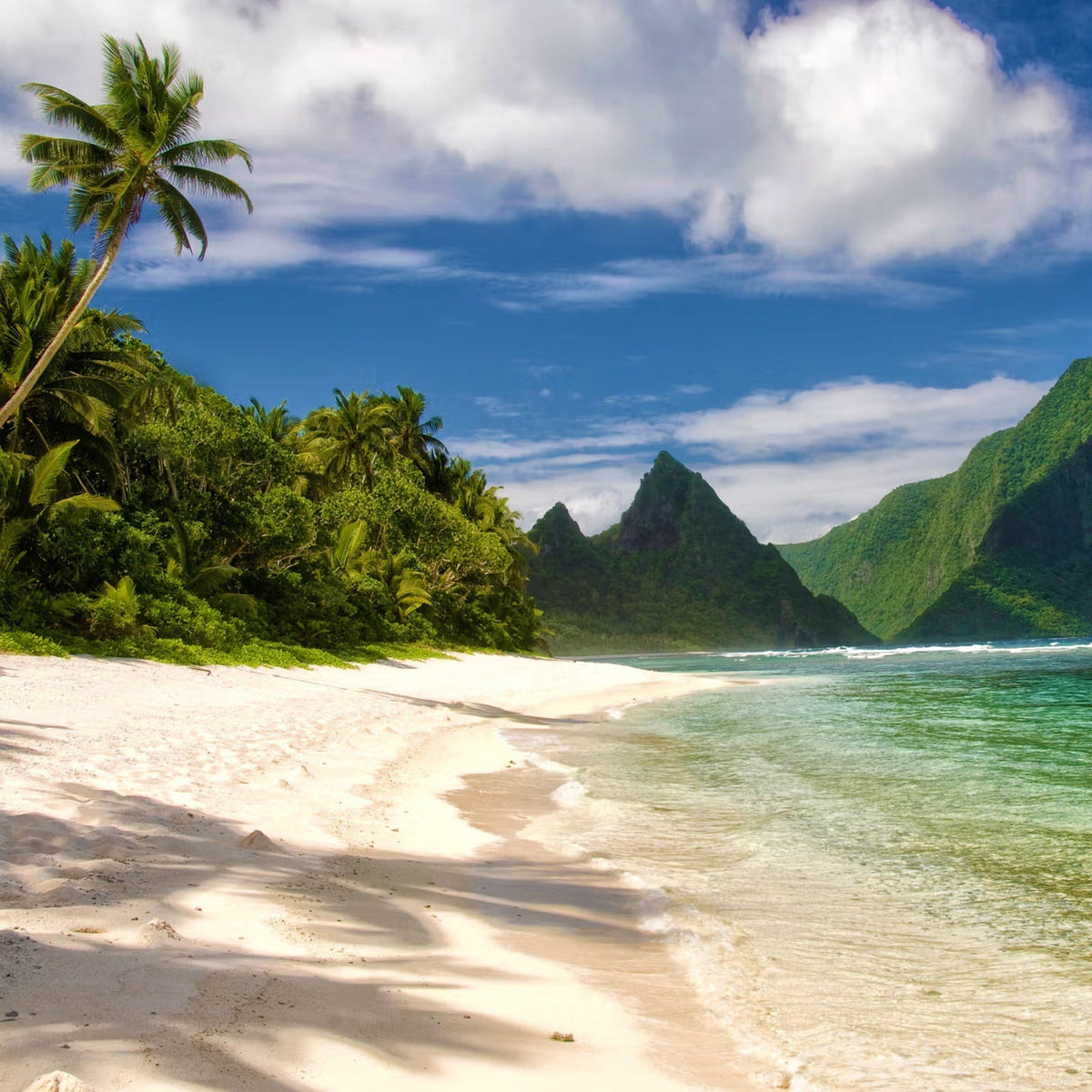 Samoa Fire & Emergency