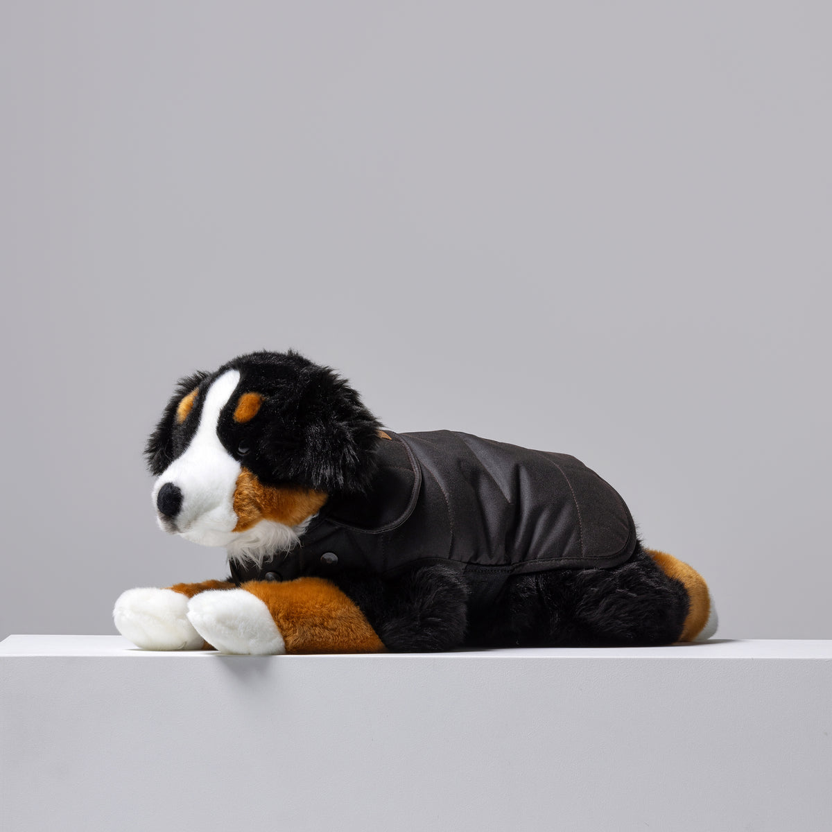 Instore Toy Display Farm Dog